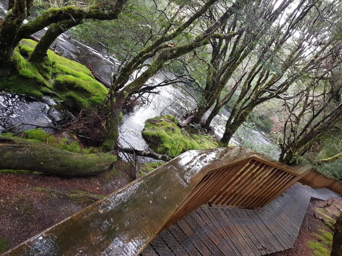 Bed and Breakfast Cradle Alpine Retreat Moina Exterior foto